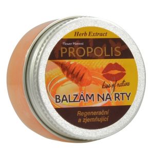 VIVACO Herb Extract Balzám na rty s Propolisem 25g